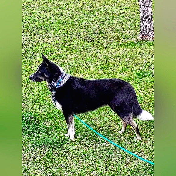 COPY - MISSY'S BLOG - Picture 3 of 8